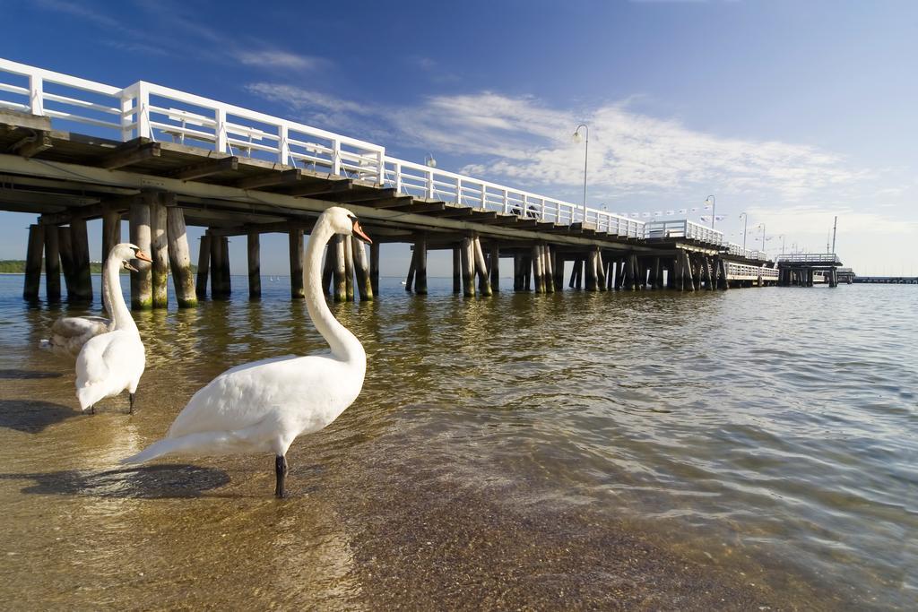 Apartament Nadmorski Gdansk Sopot Szoba fotó